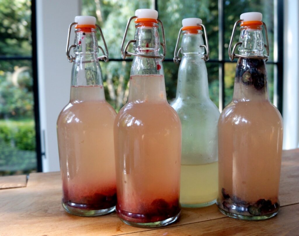 Jun-Kombucha