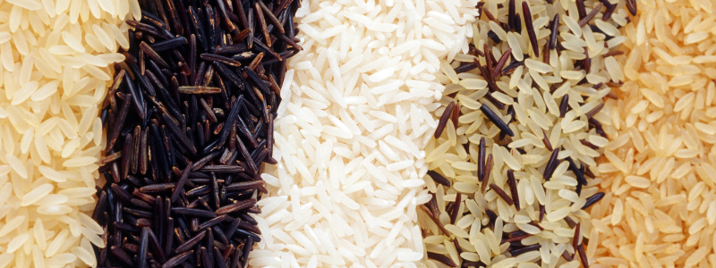 Rice types